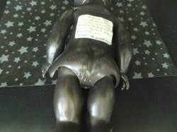 black doll pedigree 13 back a